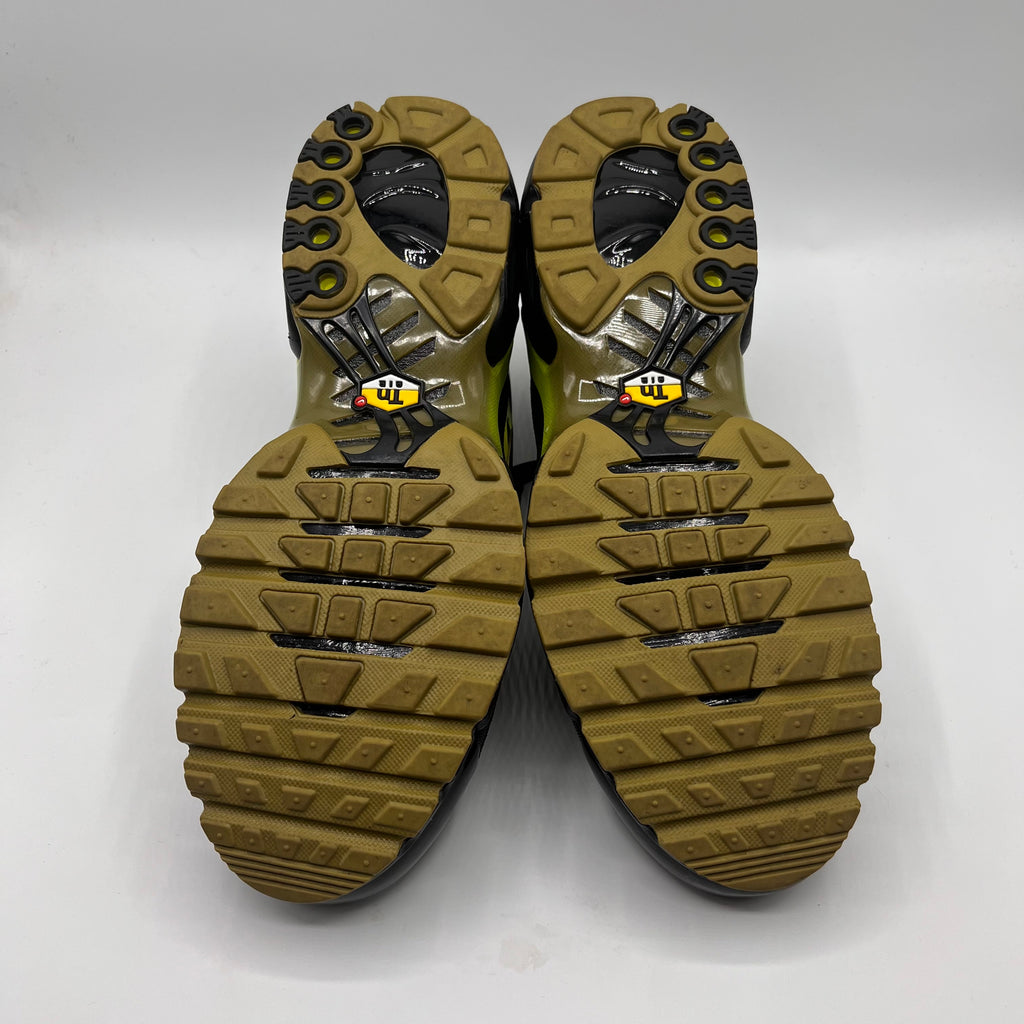 Nike Air Max Plus, Pacific Moss.