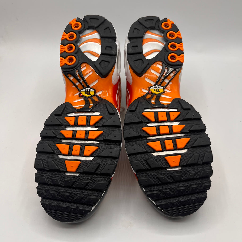 Nike Air Max Plus OG, Light Photography.