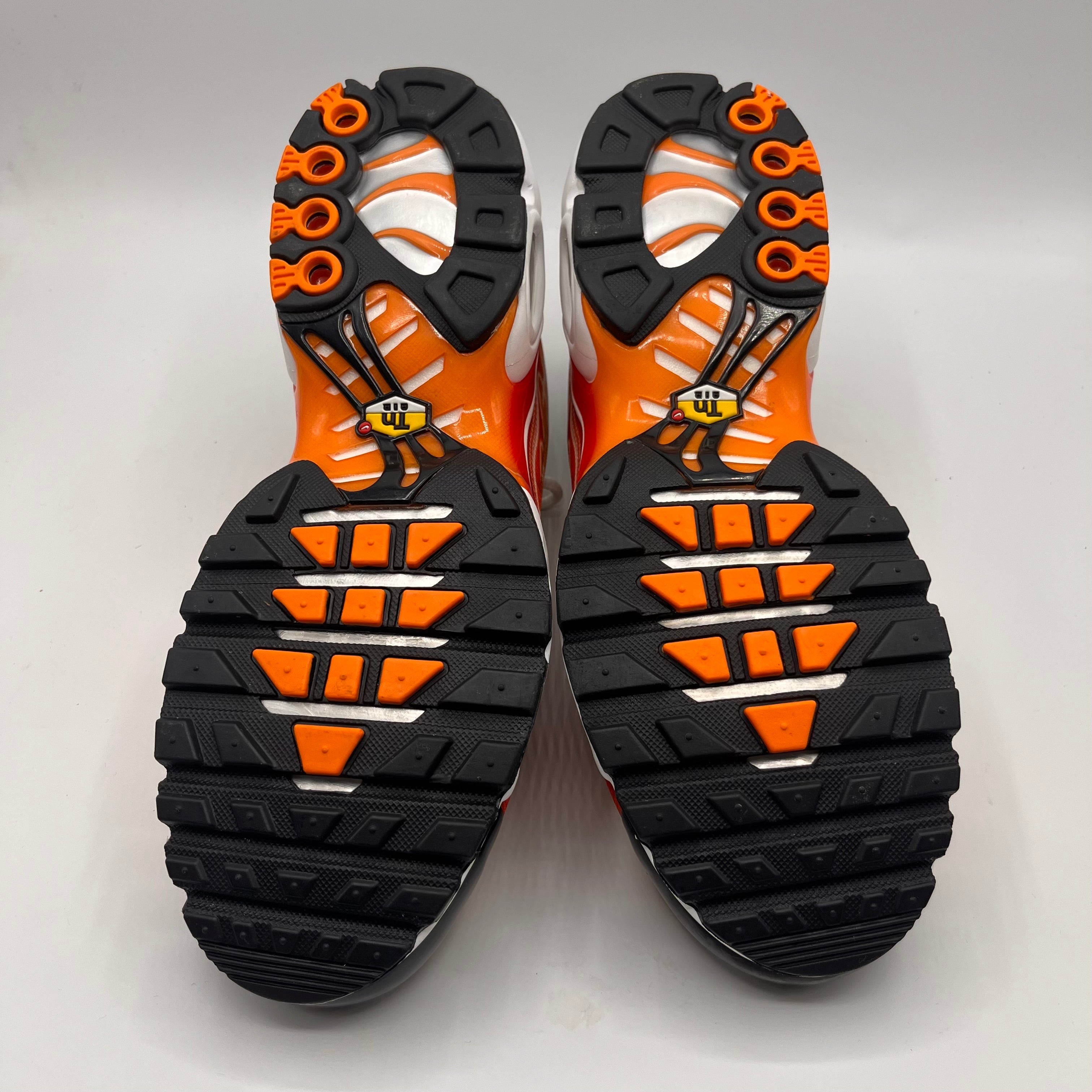 Nike Air Max Plus OG, Light Photography.